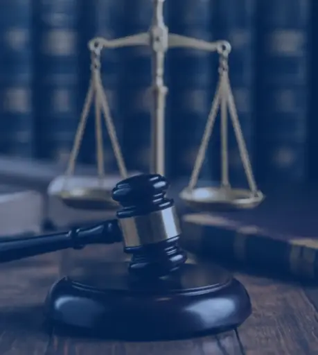 Derecho Constitucional